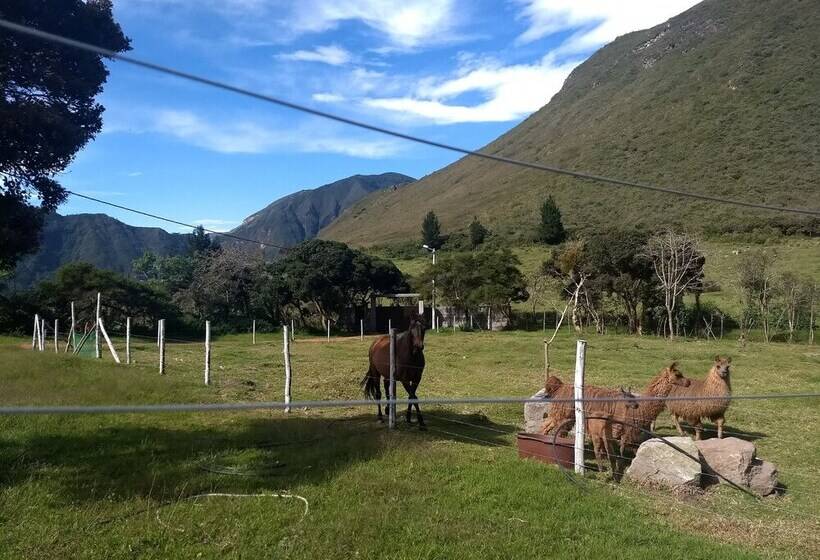 Casa L Amore Pululahua B&b Hostel