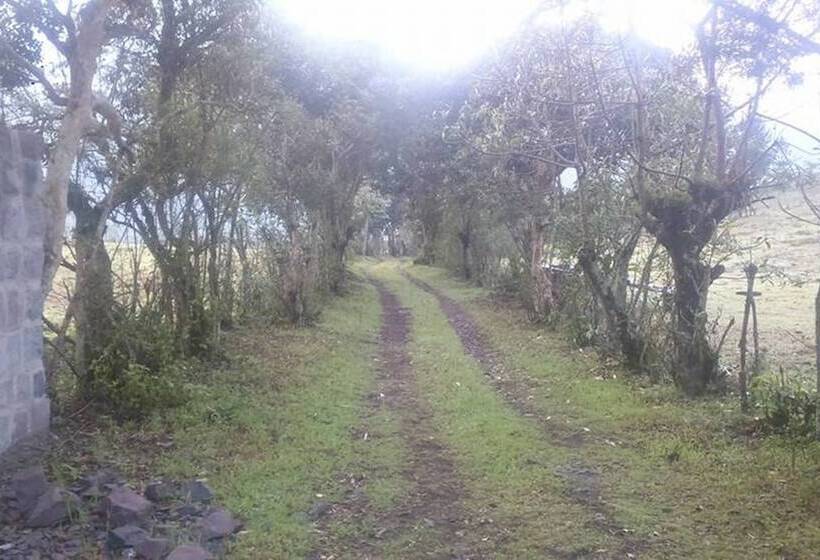 Casa L Amore Pululahua B&b Hostel