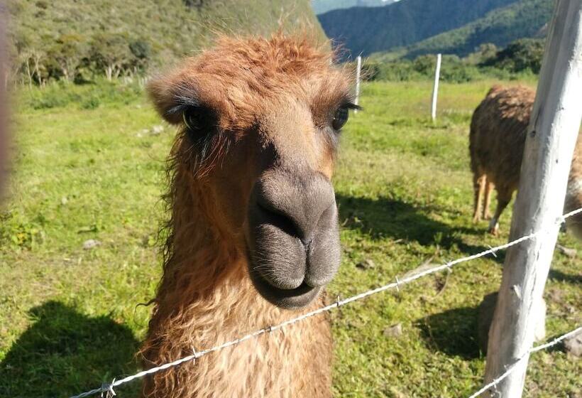 Casa L Amore Pululahua B&b Hostel