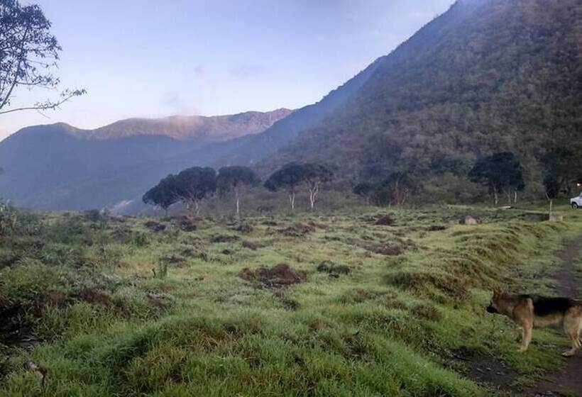 Casa L Amore Pululahua B&b Hostel