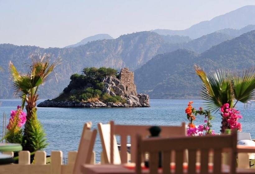 בית מלון כפרי Adasu Pansiyon