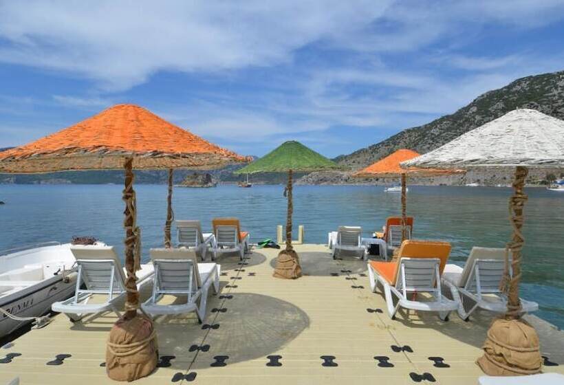 בית מלון כפרי Adasu Pansiyon