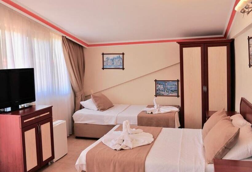 בית מלון כפרי Adasu Pansiyon