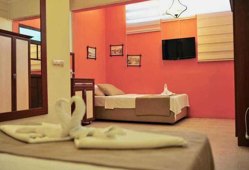 בית מלון כפרי Adasu Pansiyon