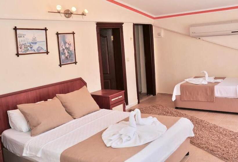 בית מלון כפרי Adasu Pansiyon