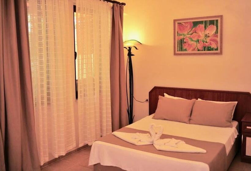 בית מלון כפרי Adasu Pansiyon