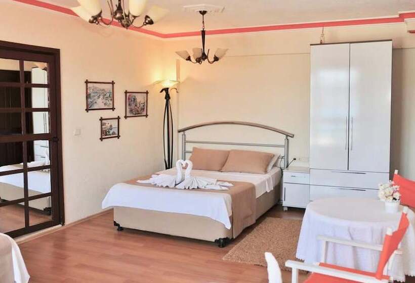 בית מלון כפרי Adasu Pansiyon