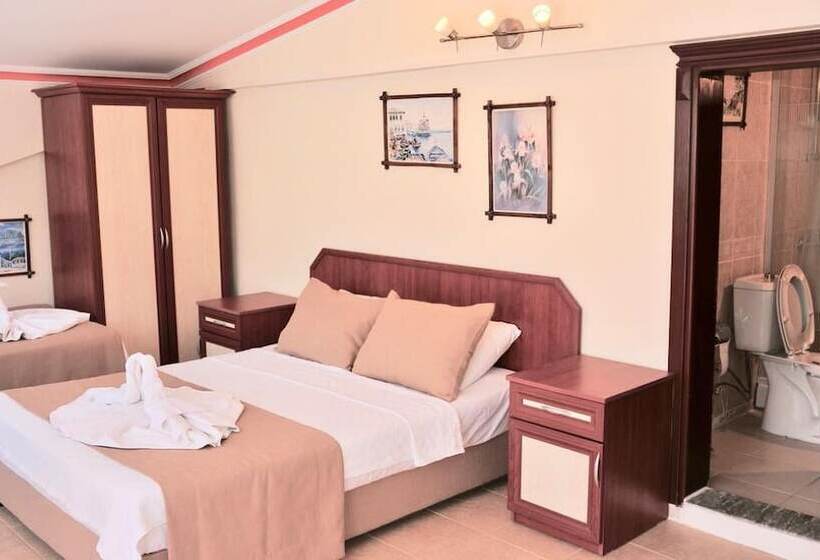 בית מלון כפרי Adasu Pansiyon