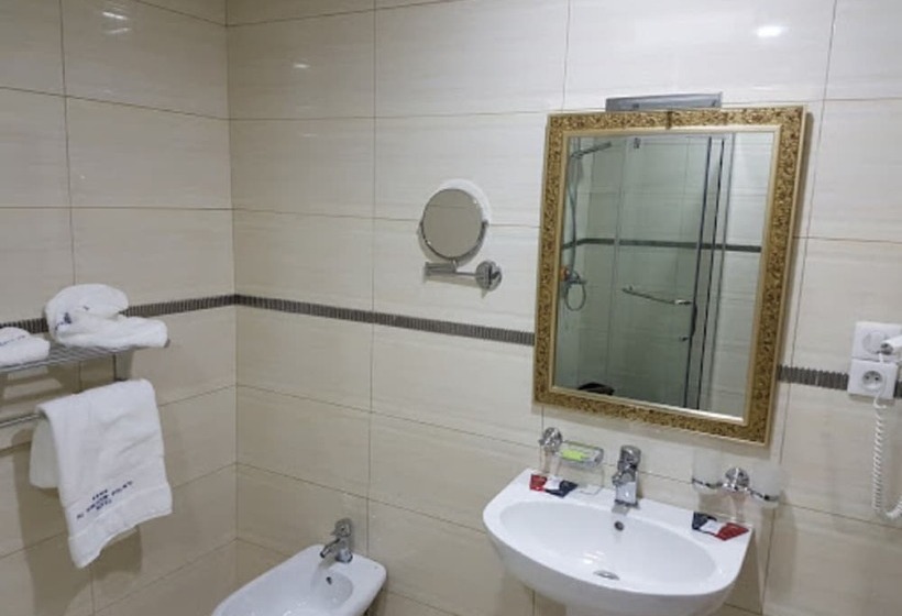 هتل Al Mansour Palace