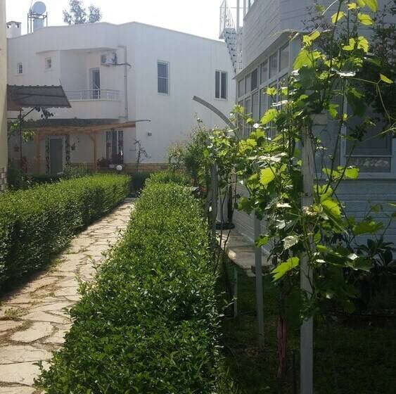 فندق Altinkum Tatil Koyu