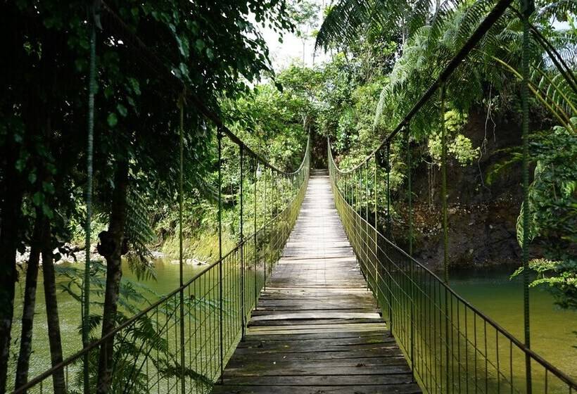 فندق Amuntai Rainforest Lodge