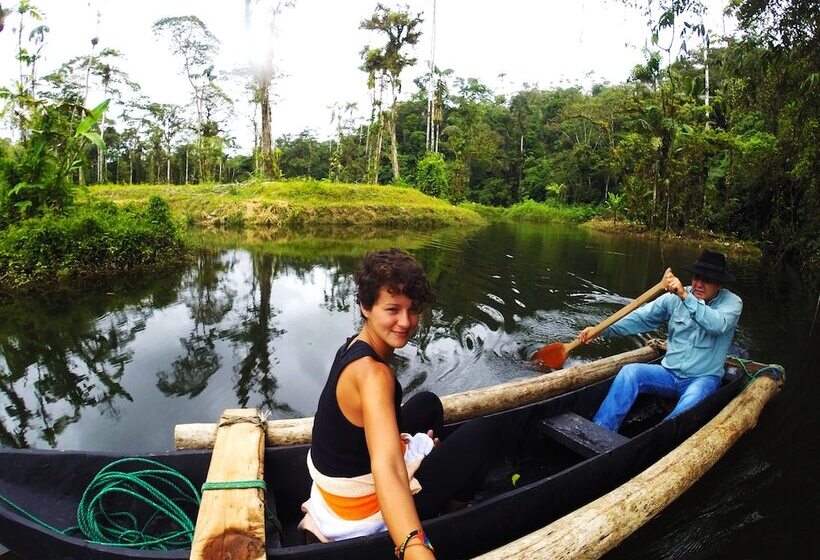 فندق Amuntai Rainforest Lodge