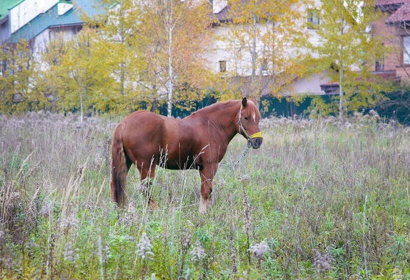 בית מלון כפרי Art Village Club