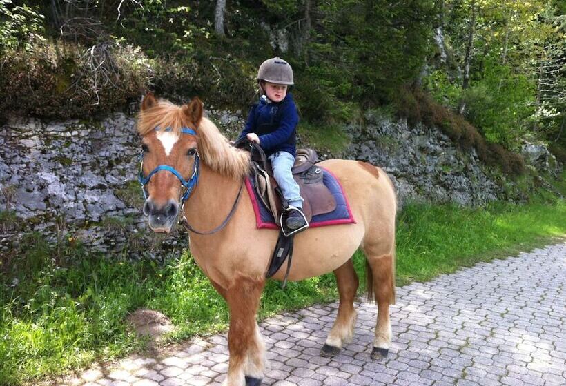 فندق Belvedere & Paradise Club Center