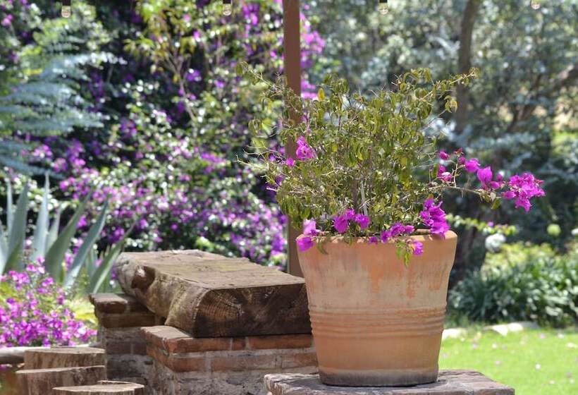 בית מלון כפרי Boutique El Campirano