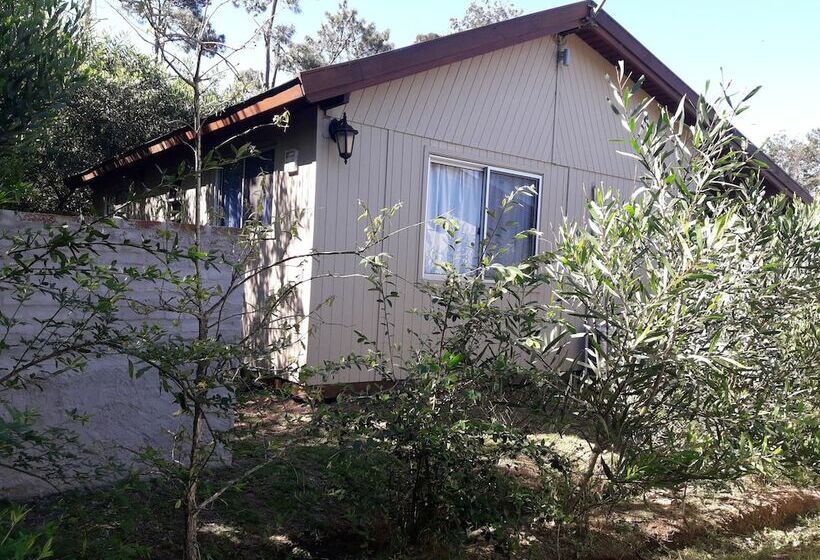 هتل Cabanas Del Este