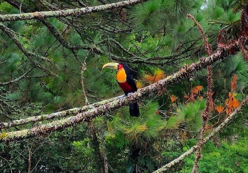 فندق Casa Fazenda Inglesa