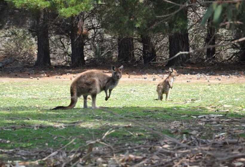 호텔 Discovery Parks   Kangaroo Island