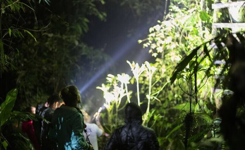 ホテル El Edén Treehouse