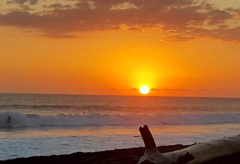 ホテル Hermosa Beach House