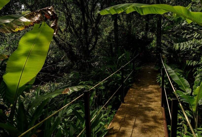 هتل Kuyana Amazon Lodge