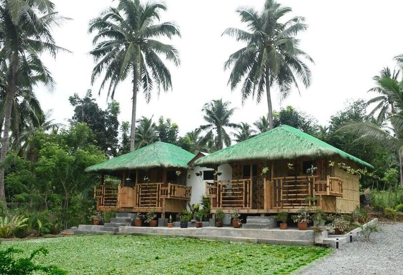 בית מלון כפרי M Rishon