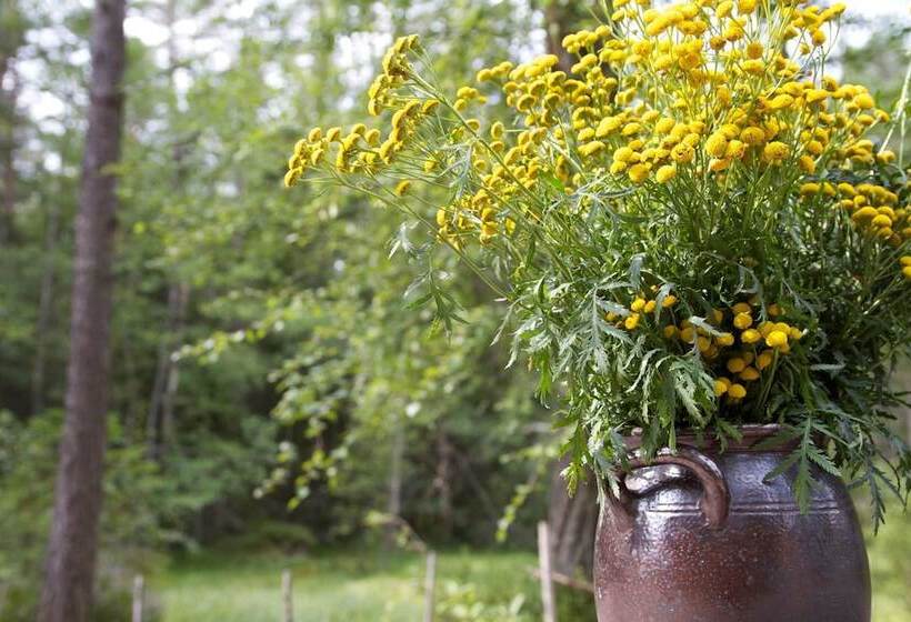 בית מלון כפרי Mellanfjärden