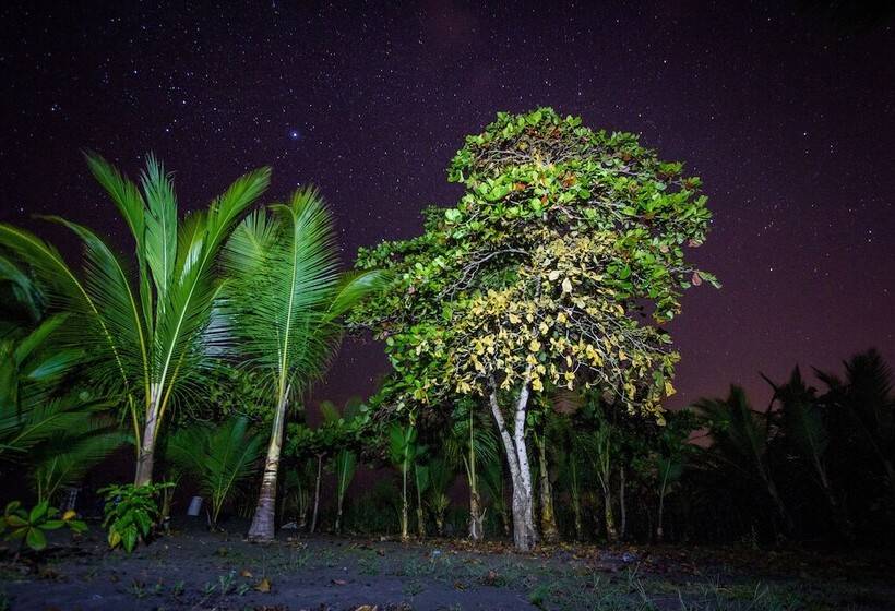 فندق Miguel Surf  Camp