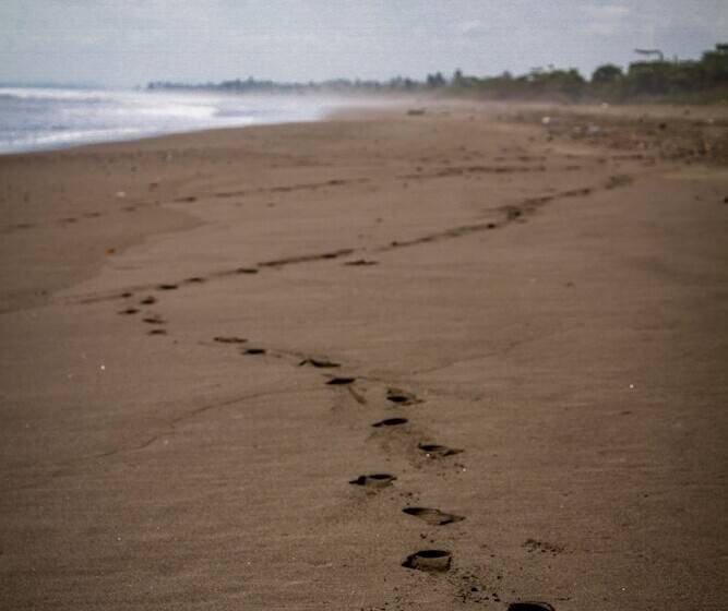 בית מלון כפרי Miguel Surf Camp