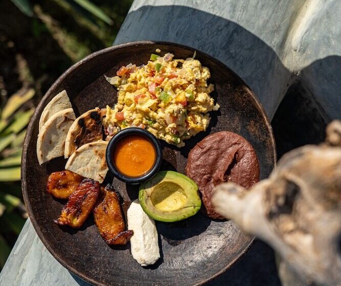 酒店 Mizata By Antiresort