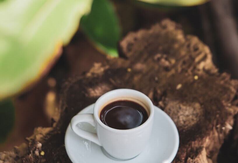 酒店 Mizata By Antiresort