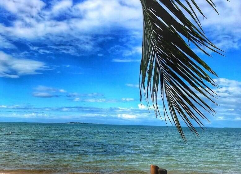 Отель Nichos Island Resort