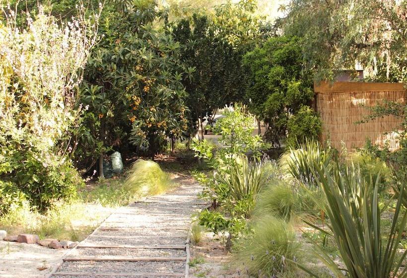 Отель Organica Lodge Spa