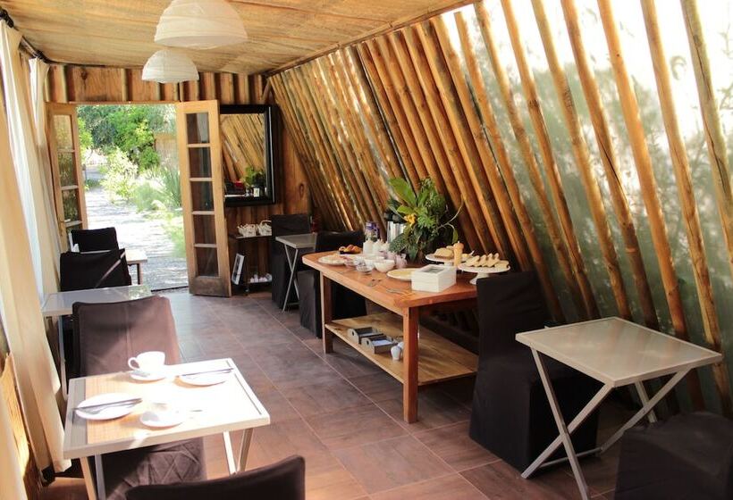 Отель Organica Lodge Spa