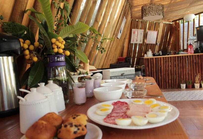 Отель Organica Lodge Spa