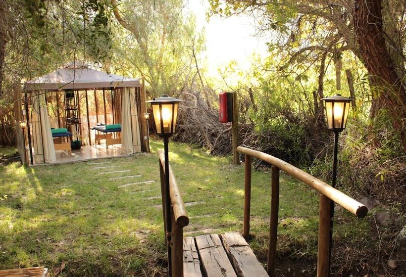 Отель Organica Lodge Spa