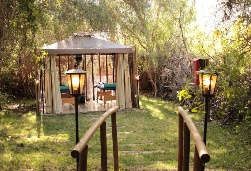 Отель Organica Lodge Spa