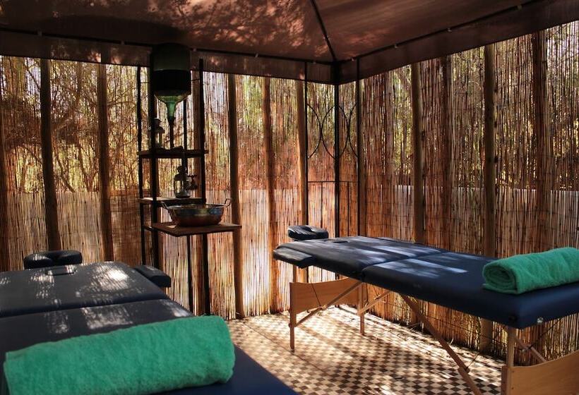 Отель Organica Lodge Spa