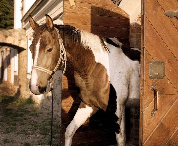 هتل Pakruojo Dvaras