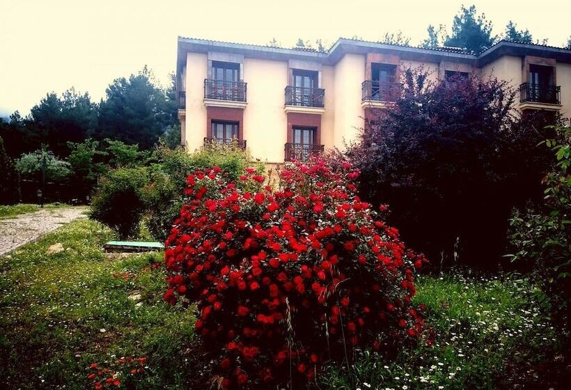 فندق Pendosis Tatil Koyu