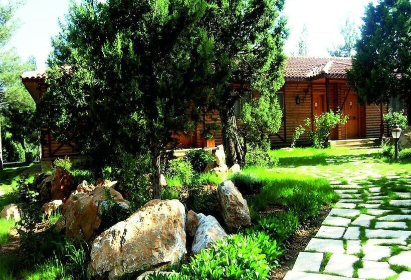 فندق Pendosis Tatil Koyu