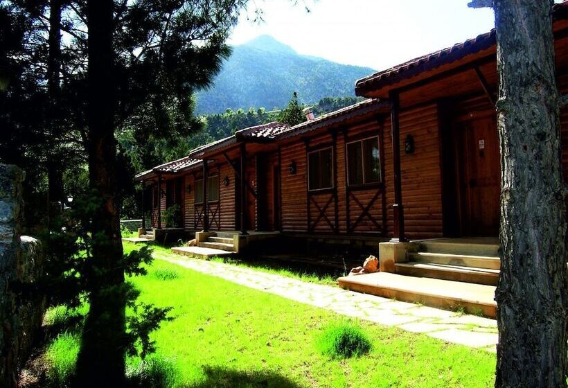 فندق Pendosis Tatil Koyu