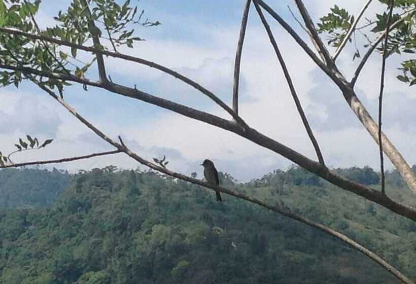 فندق Rústico Montañas Del Pacuare Costa Rica