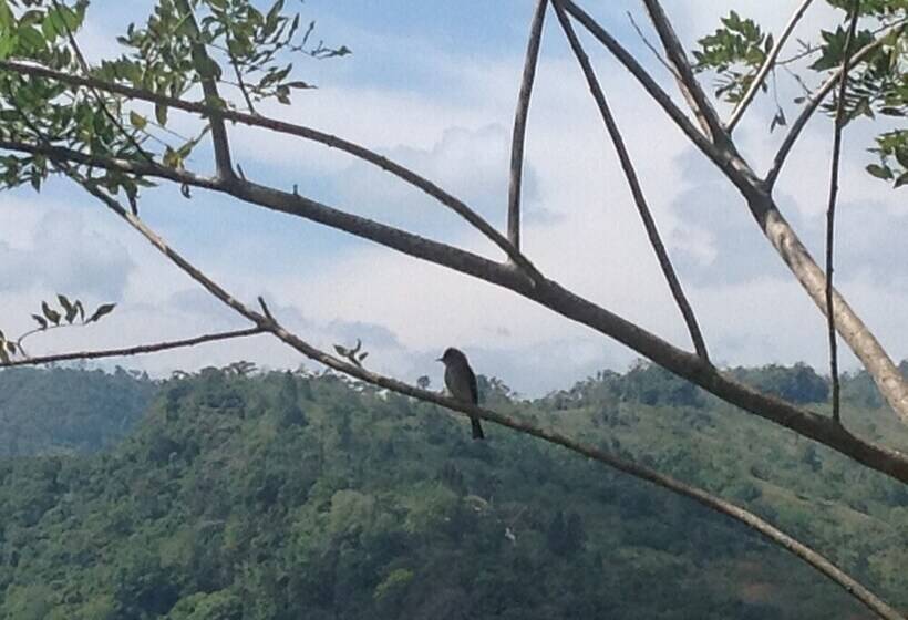 فندق Rústico Montañas Del Pacuare Costa Rica