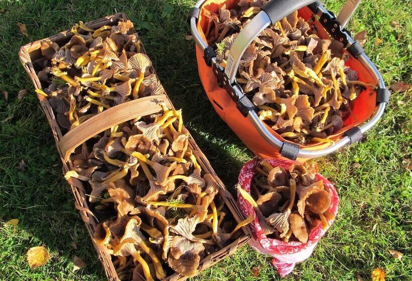 교외 호텔 Lövbergs B&b