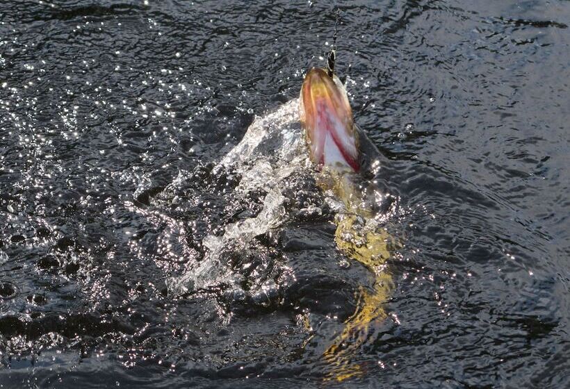 교외 호텔 Lövbergs B&b