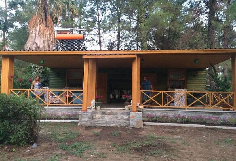 בית מלון כפרי Sakligol Evleri