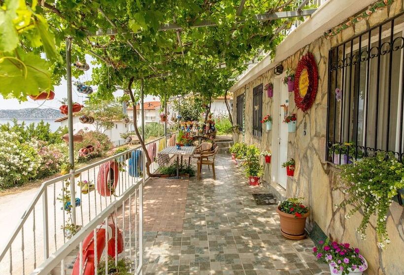 בית מלון כפרי Sogut Ada Pansiyon