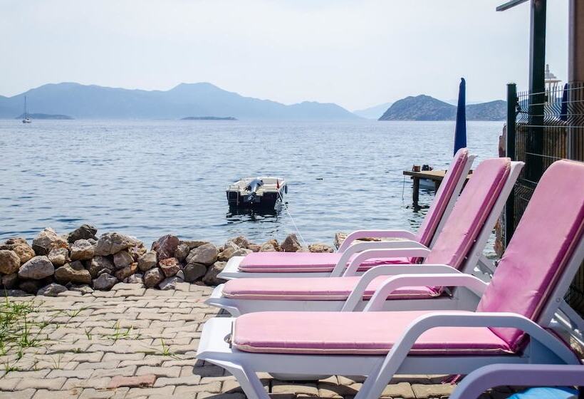 בית מלון כפרי Sogut Ada Pansiyon