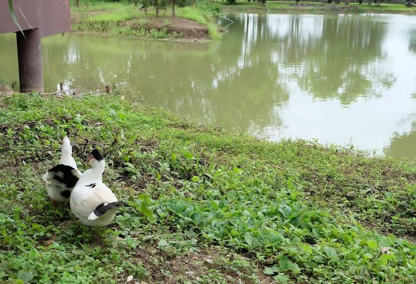 Отель Suan Kaew Resort